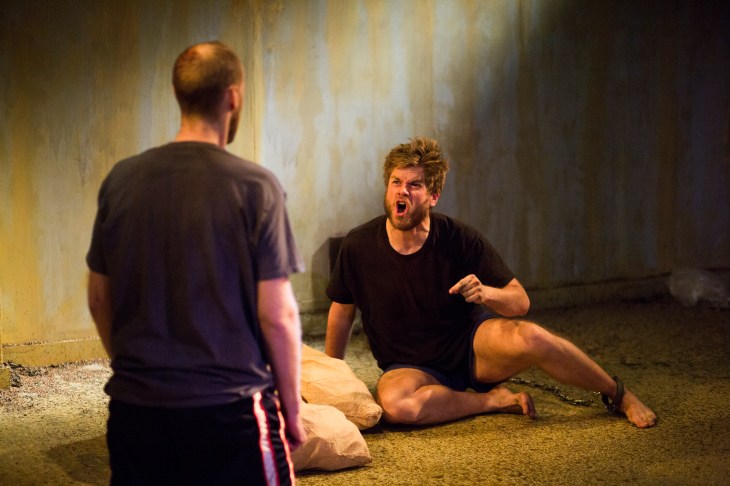 Animus_11142018-29 (3)